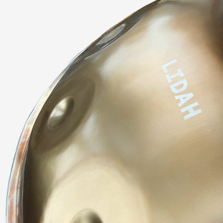 Glanzende LIDAH® Stainless Steel Handpan in natuurlijk licht