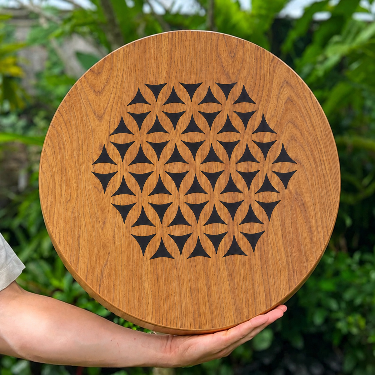 Rain Disk