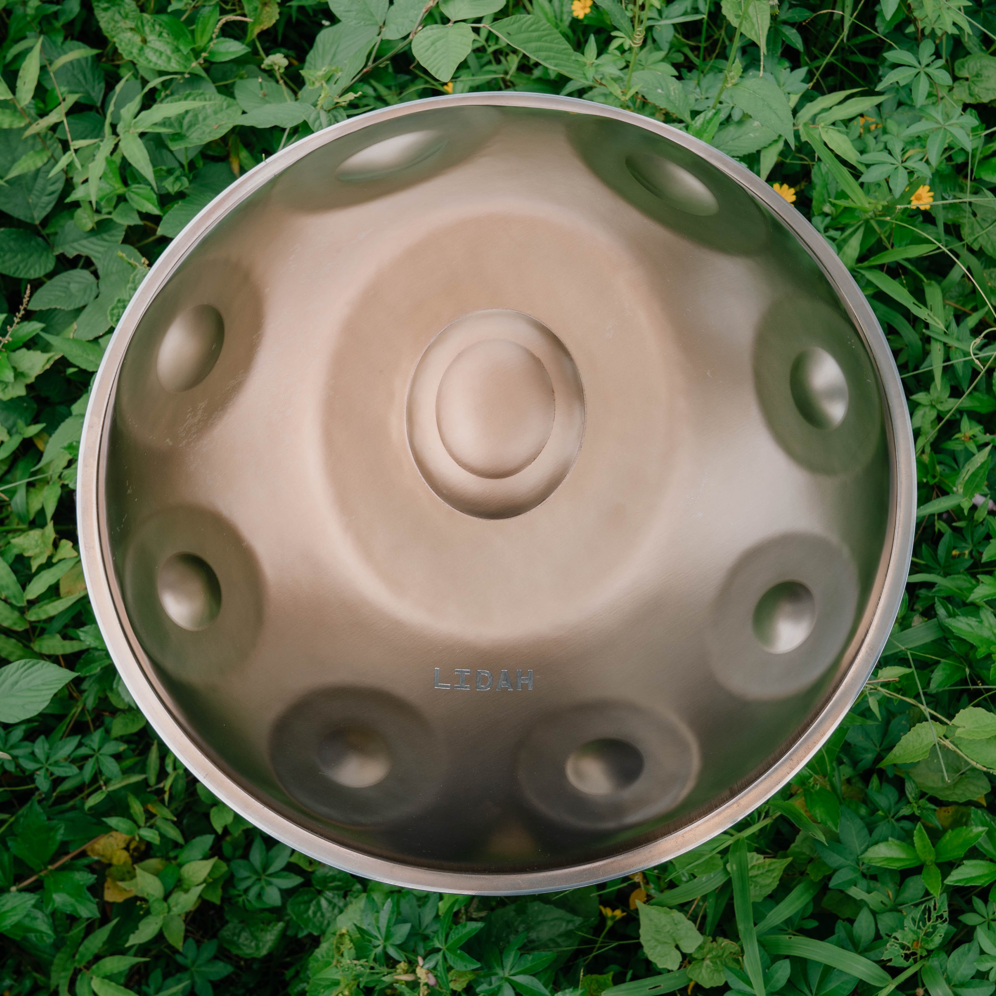 Stainless Steel I F2 Low Pygmy 16