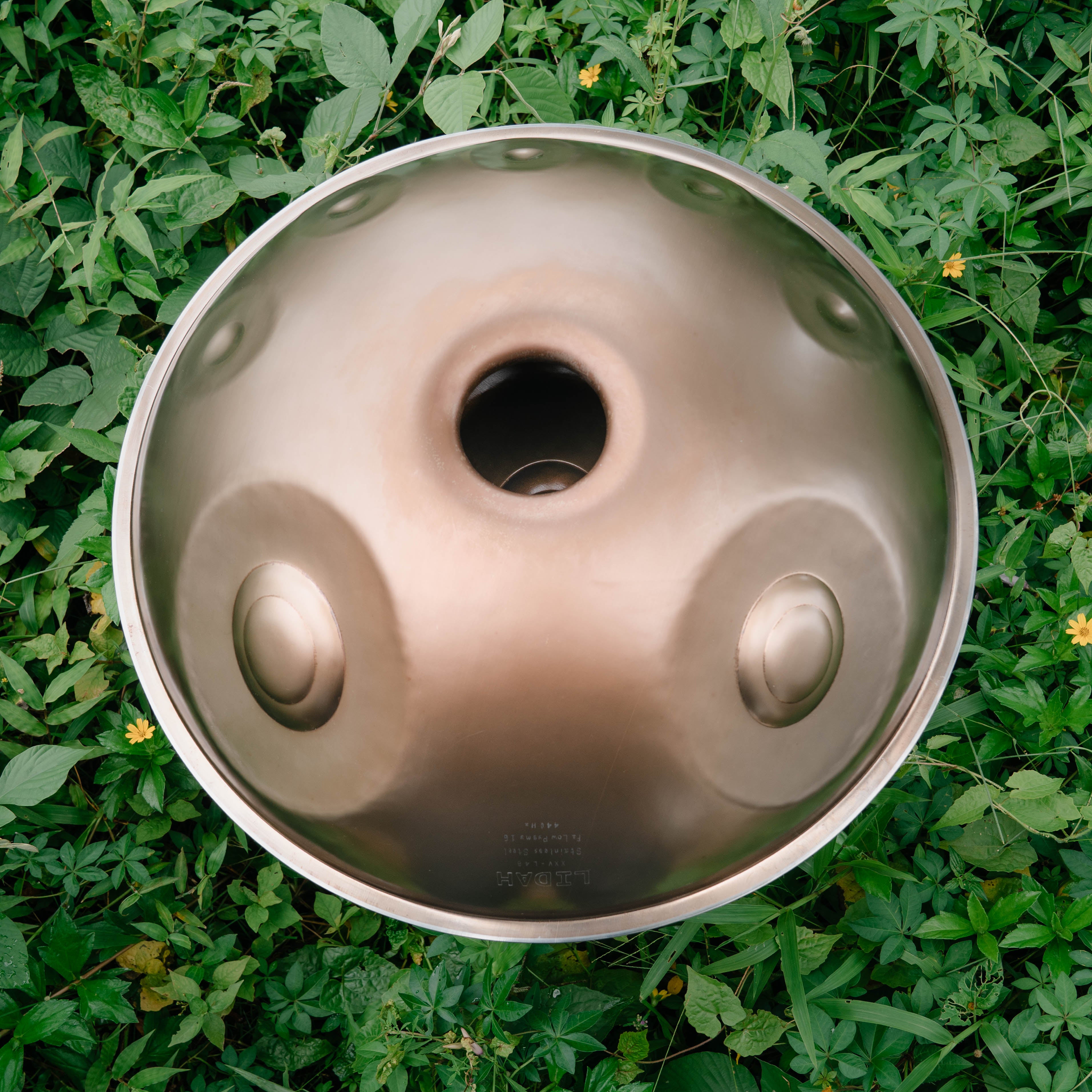 Stainless Steel I F2 Low Pygmy 16