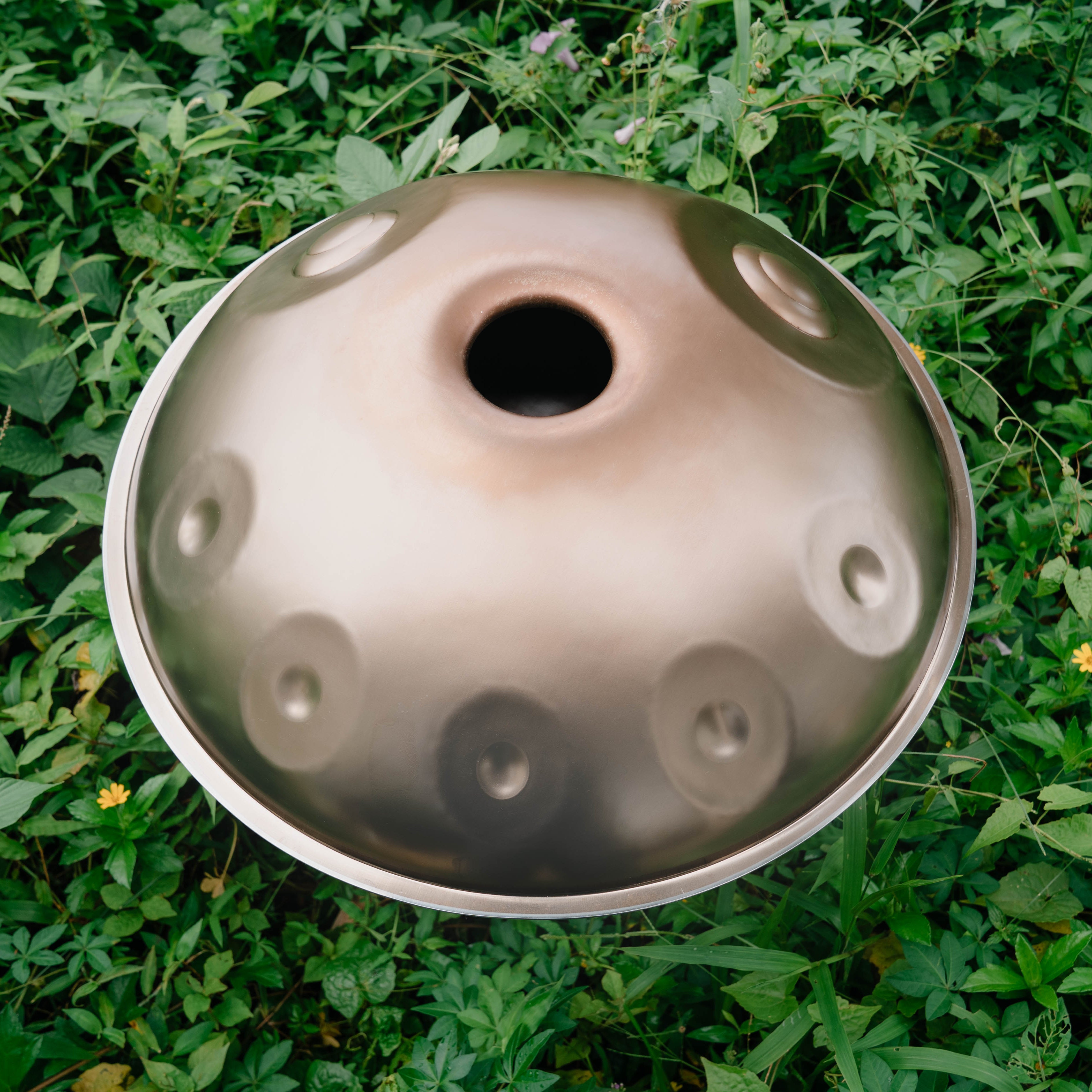 Stainless Steel I F2 Low Pygmy 16